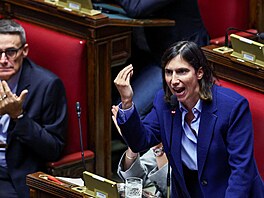 Elly Schleinová, p�edsedkyn� opozi�ní Demokratické strany, s projevem b�hem...