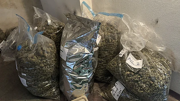 Kanabinoidy, nelegální laboratoře i drahé kovy. Policie odhalila detaily akce Korund