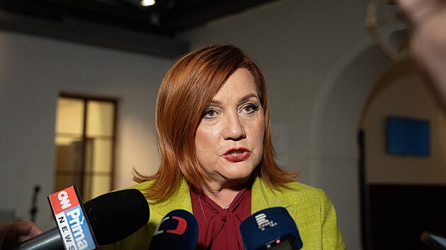 Projedn�v�n� n�vrhu na vysloven� ned�v�ry vl�d� �esk� republiky. Na sn�mku je zachycen� Alena Schillerov� (ANO). (1. ��jna 2026)