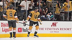 Tomá� Hertl z Vegas slaví gól proti Anaheimu.