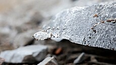 Poslední zbytky ledovce na nejvy��í ho�e Slovinska, Triglavu (2. �íjna 2026)