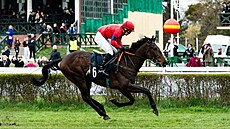 Minulý rok jel Marcel Novák mlad�í Velkou pardubickou poprvé a spole�n� s otcem...