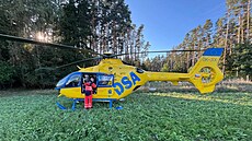 Záchraná�i pomáhali mu�i, který se zranil p�i kácení strom� v lese na Táborsku.