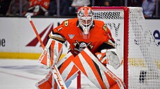 Luká� Dostál (1) v brán� Anaheim Ducks