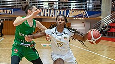 Chloe Mooreová-McNeilová z Levhartic Chomutov u mí�e v zápase s KP Brno