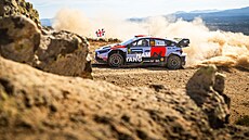 Thierry Neuville b�hem Italské rallye