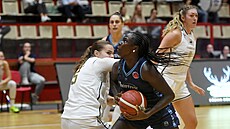 Momentka z duelu Levhartice Chomutov - Chartres