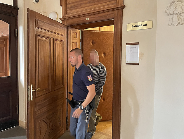Trest za týrání rodičů. Matce chtěl uřezat hlavu a zapálit ji, otce škrtil do bezvědomí