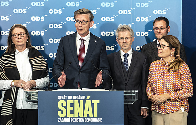Senát zůstává pojistkou, raduje se Kupka. Vést ho chce dál Vystrčil