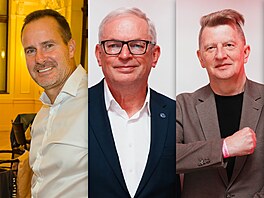 Zleva Karel �ehka, David Smoljak, Ji�í Padev�t a Zuzana Ceralová Petrofová