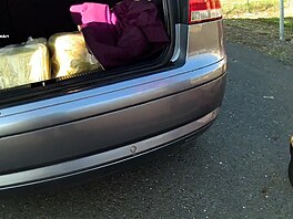 Auto zastavené celníky na �umpersku vezlo 34 kilogram� kratomu.