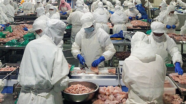 Zam�stnanci spole�nosit Wintop Food zpracovávají ku�ecí maso v továrn� v...