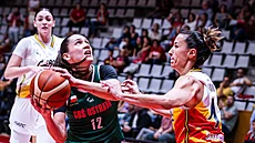 Dragana Domuzinová ze SB� Ostrava zkou�í zakon�it.