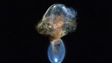 Americká raketa Falcon 9 spole�nosti SpaceX v úterý úsp�n� odstartovala ze...