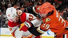 Adam Klapka (43) z Calgary a Jeff Malott (39) z Anaheimu se perou v zápase NHL.