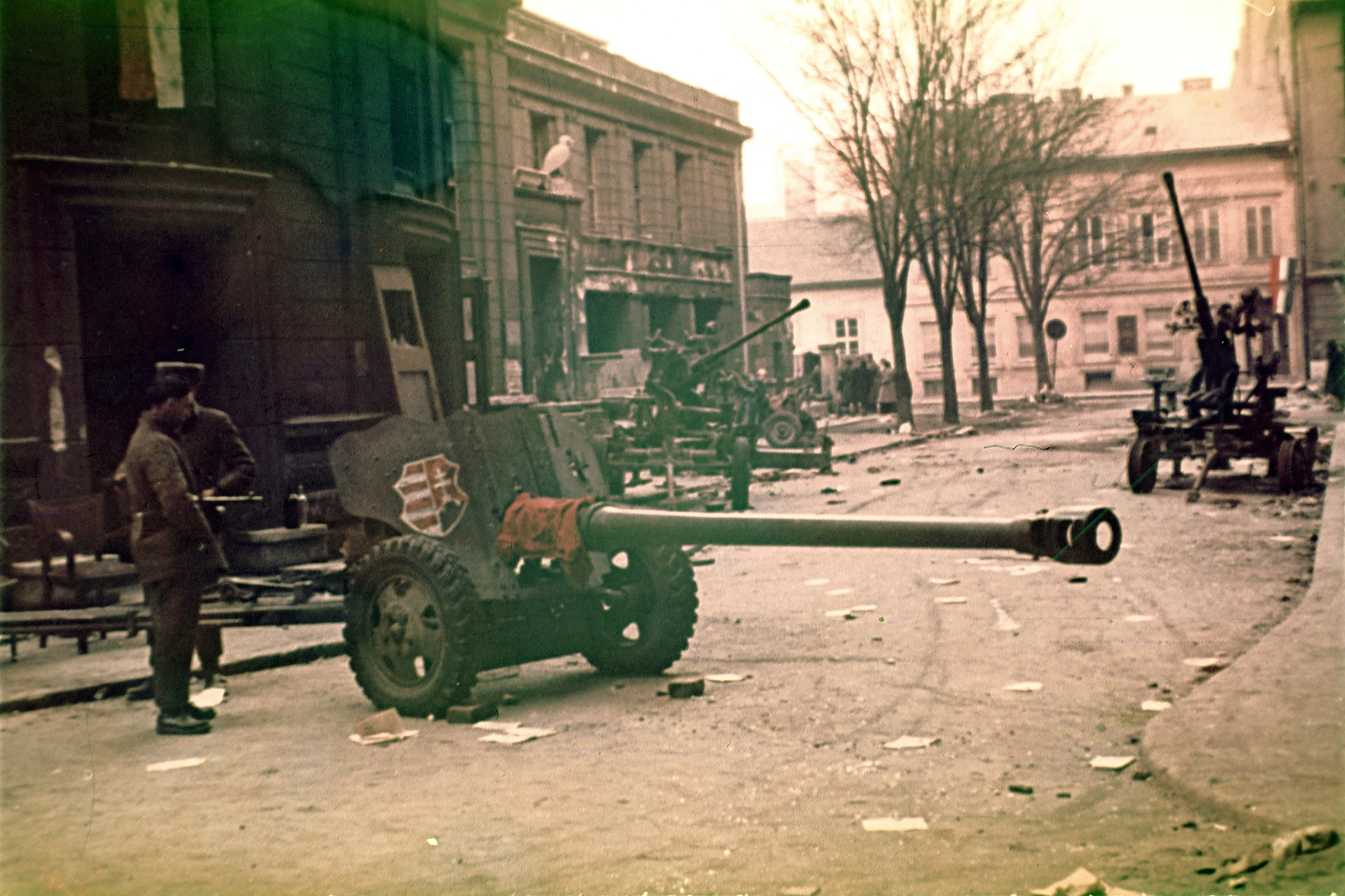 S puškami v ruce proti sovětským tankům. MZV si připomene masakr v Maďarsku z padesátých let