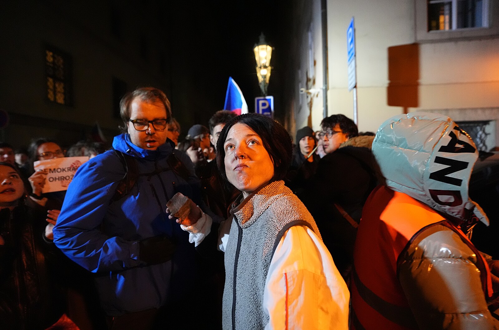 Dav demonstrantů se pokusil násilím proniknout do Sněmovny