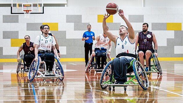 Basket na vozíku