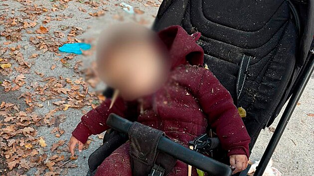 Naprosté zvěrstvo. Rusko zabíjelo v parku, zemřela i holčička v kočárku