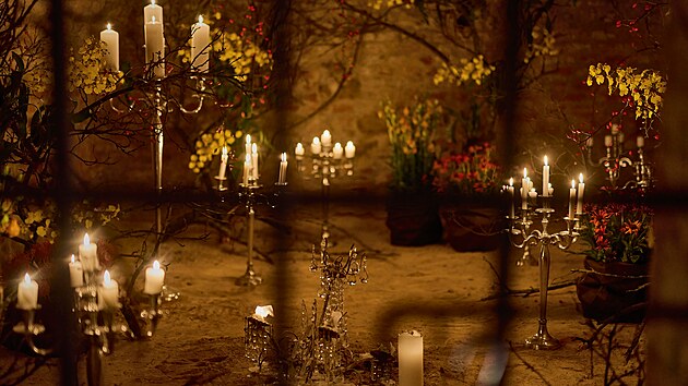 Výstava Flowers & Lights propojuje moderní světelný design, květinové umění a...