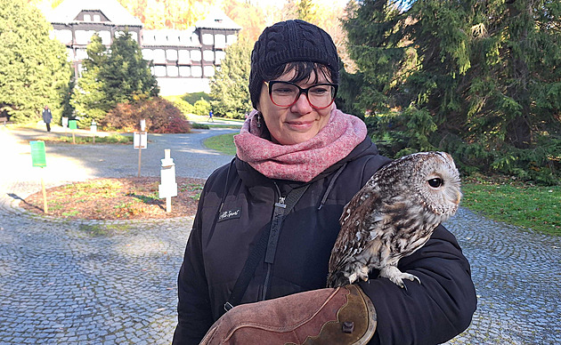 Lázně v Jeseníkách zavedly soví zooterapii. Rozárka mě zklidnila, říká pacientka