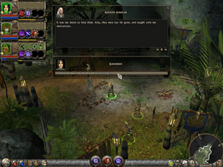 Dungeon Siege 2