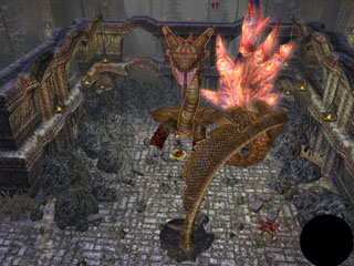 Dungeon Siege 2