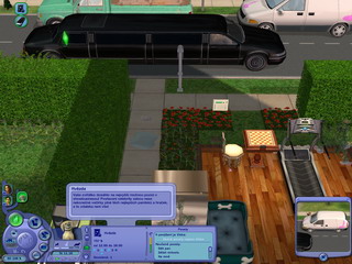 Sims2: Mazlíčci