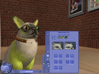 Sims2: Mazlíčci
