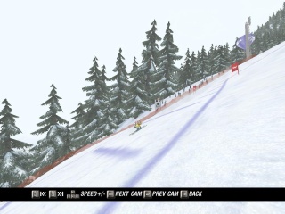 Ski Racing 2006