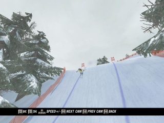 Ski Racing 2006