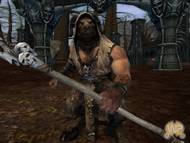 Warhammer Online: Age of Reckoning