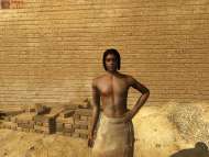 The Egyptian Prophecy – The Fate of Ramses