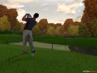 Tiger Woods 2004