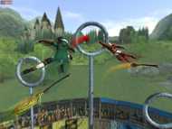 Harry Potter Quidditch World Cup