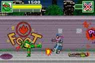 Teenage Mutant Ninja Turtles