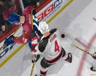 NHL 2004