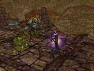 EverQuest: The Lost Dungeons of Norrath