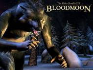 The Elder Scrolls: Bloodmoon - screenshoty
