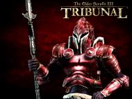TES 3: Tribunal