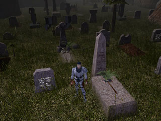 Neverwinter Nights: The Witch’s Wake