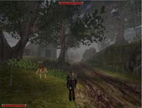 Gothic 2 - screenshoty