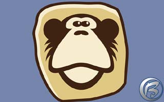 Monkeystone - opice v kapse