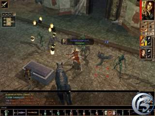 Neverwinter Nights