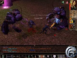 Neverwinter Nights