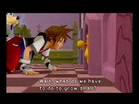 Kingdom Hearts