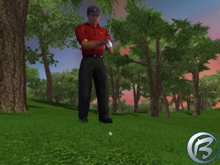 Tiger Woods PGA Tour 2003