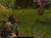 Asherons Call 2