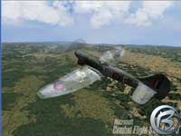 Combat Flight Simulator 3