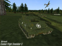 Combat Flight Simulator 3